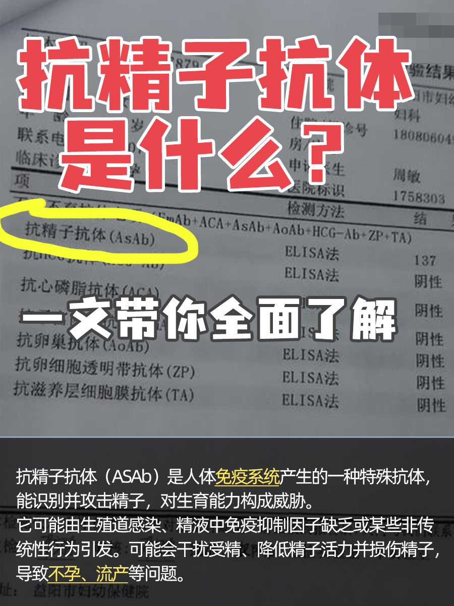 抗精子抗体是什么？一文带你全面了解