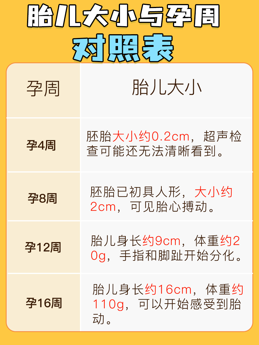 胎儿大小与孕周对照表-有来医生