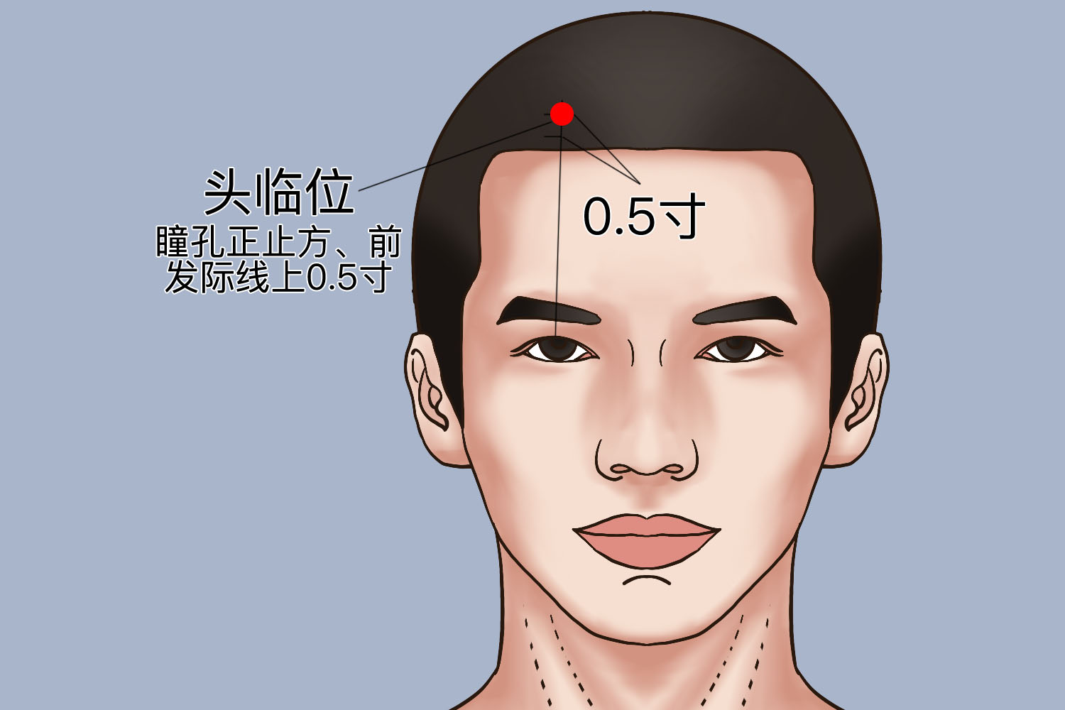 头临泣按压痛图片