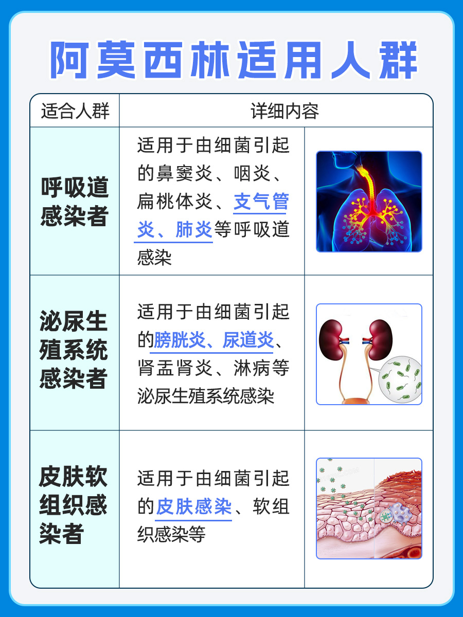 揭秘！阿莫西林耐药性何时会消失？