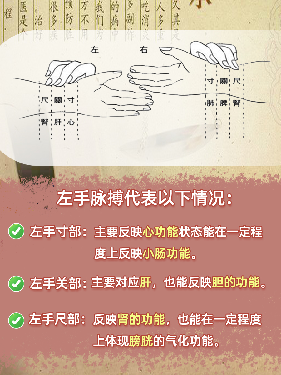 快来看，揭秘左手脉搏和右手脉搏分别代表什么？