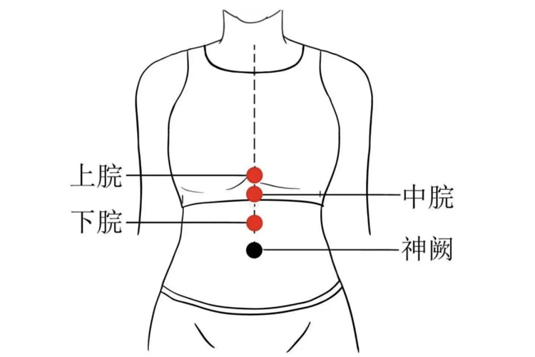 中脘、神阙位置图