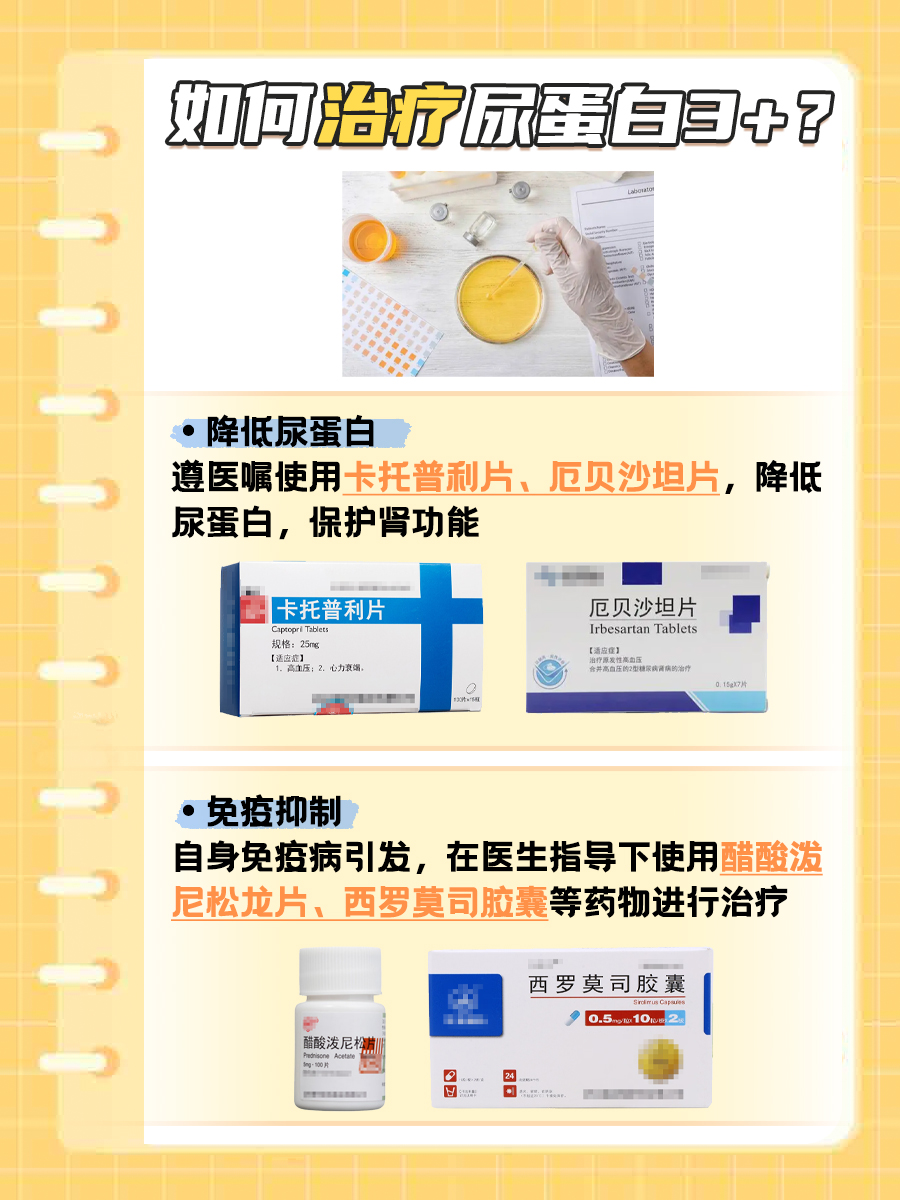 尿蛋白3+能治愈吗，你了解多少