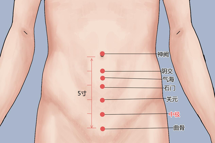 中级穴位置图 中级穴位置图
