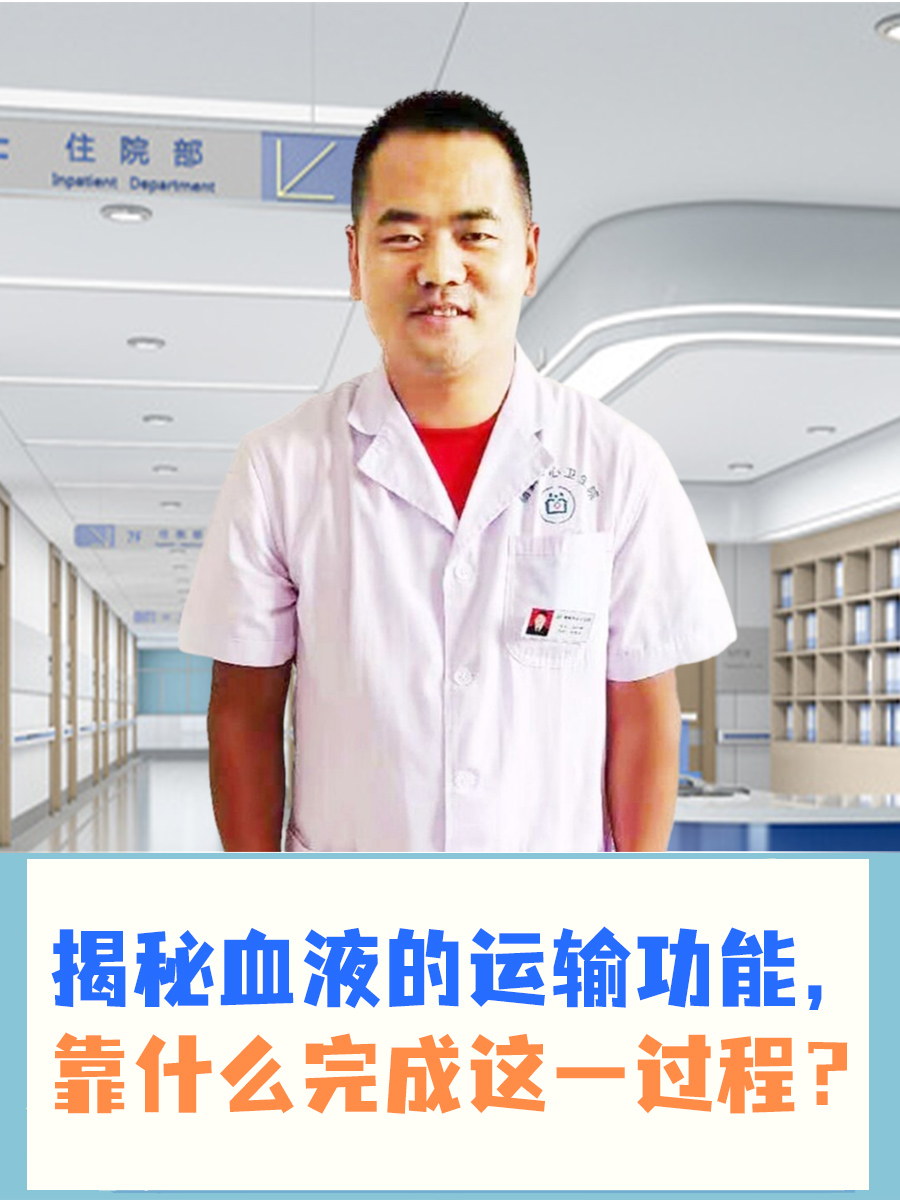 揭秘血液的运输功能,靠什么完成这一过程?