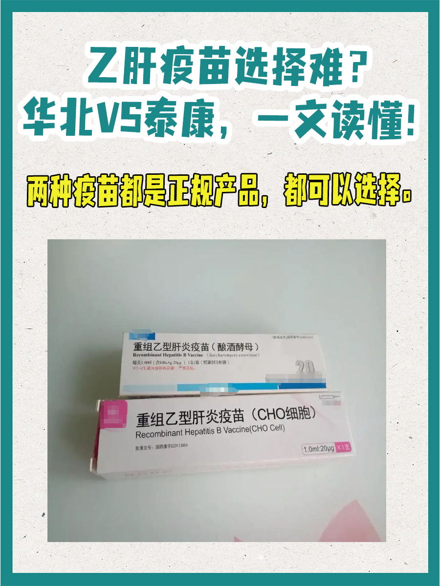 乙肝疫苗选择难？华北VS泰康，一文读懂！