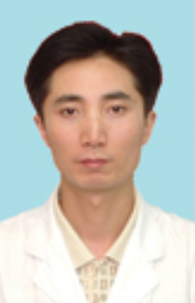 沈斐