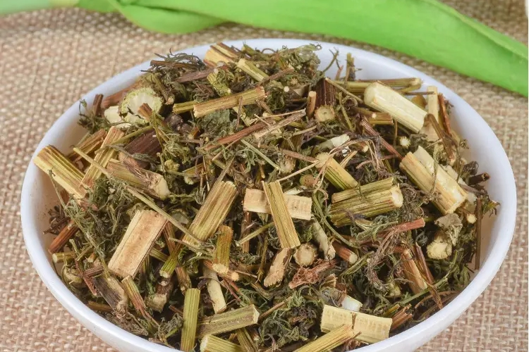 青蒿药材图 青蒿药材图