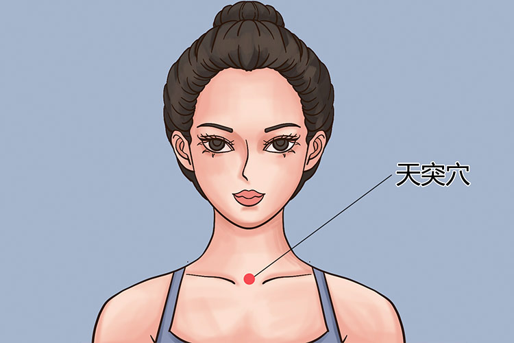 天突穴人体位置图