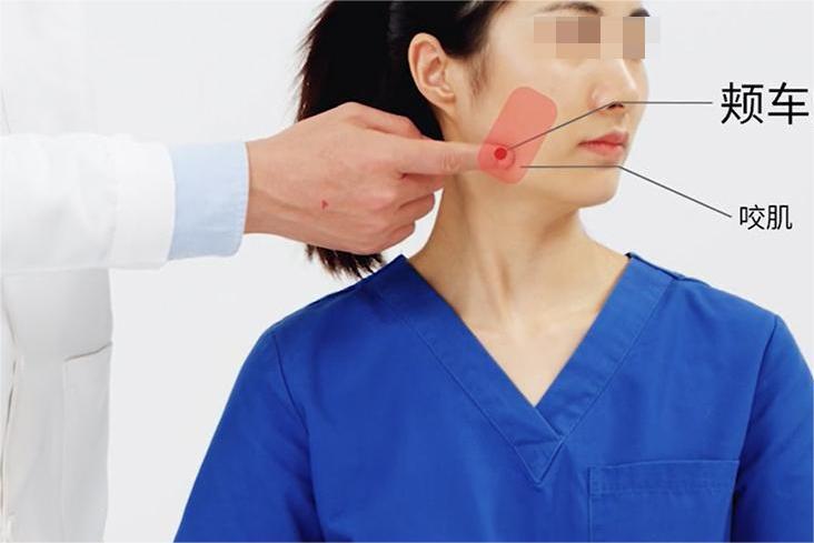 颊车的准确位置图 颊车的准确位置图