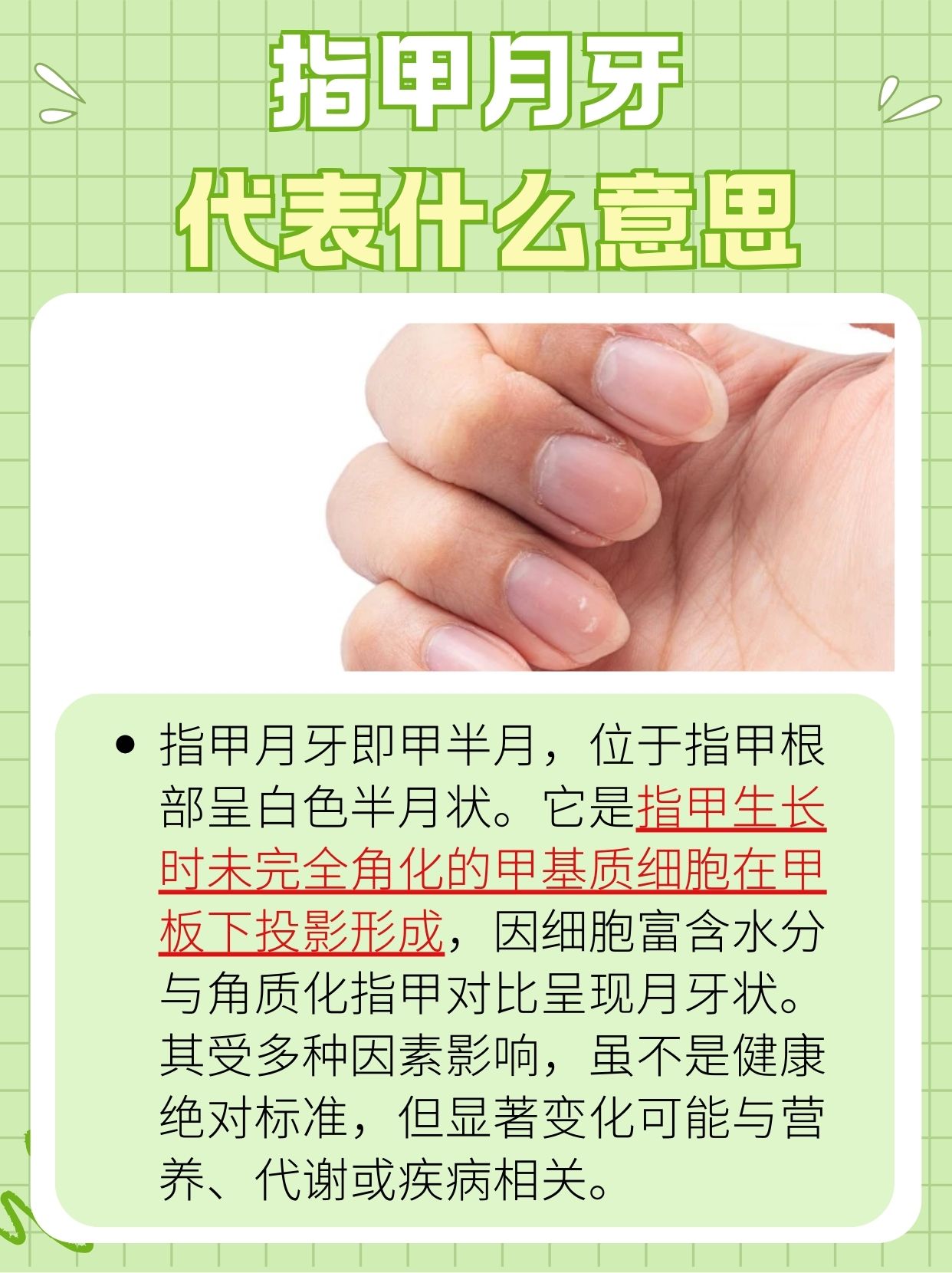 一文读懂，指甲月牙代表什么意思？