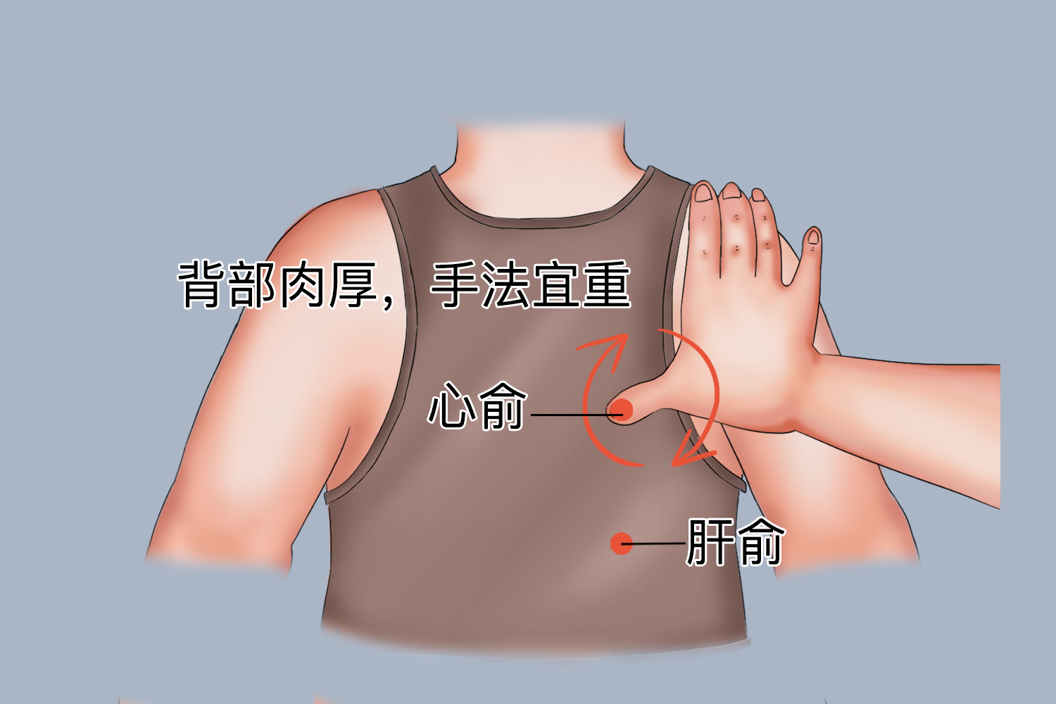 按揉心俞、肝俞穴位图
