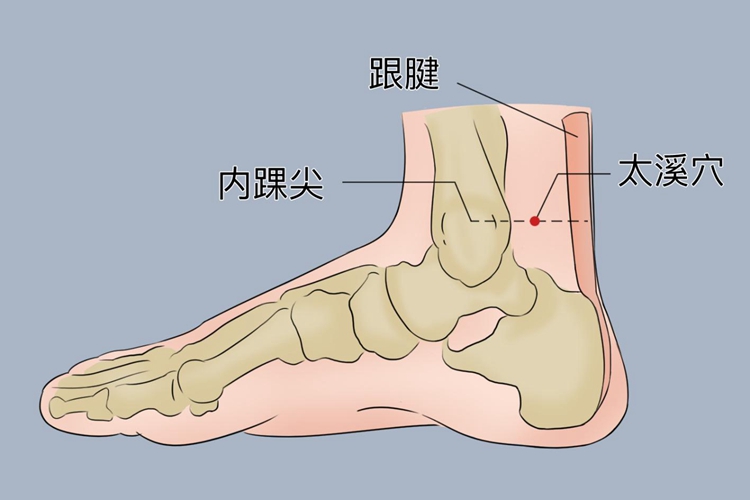 与跟腱之中央凹陷处；太溪穴位于足内侧，在内踝尖与跟腱之间的凹陷处。