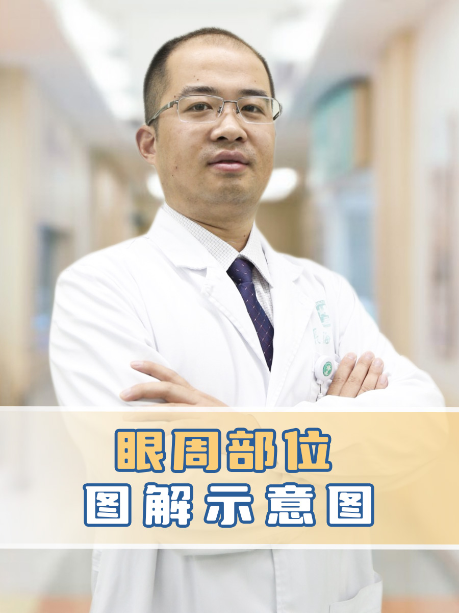 眼周部位图解示意图