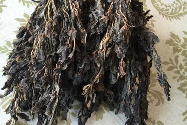 马齿苋晒干图 马齿苋晒干图