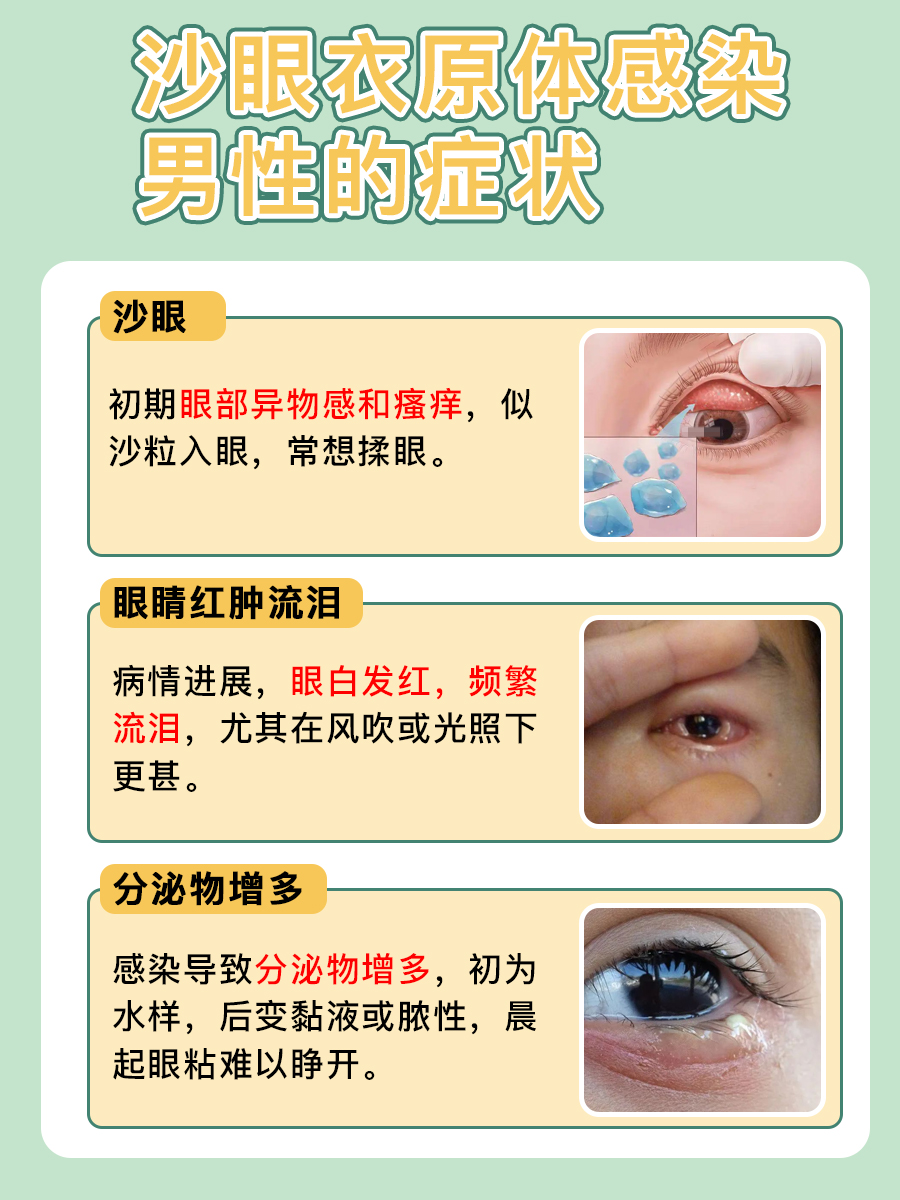 沙眼衣原体感染男性的症状图片