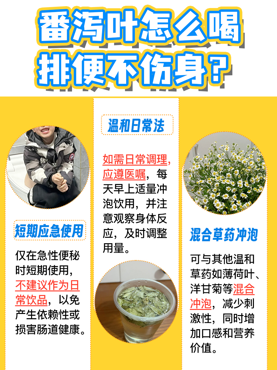 排便不伤身体，番泻叶建议这样用