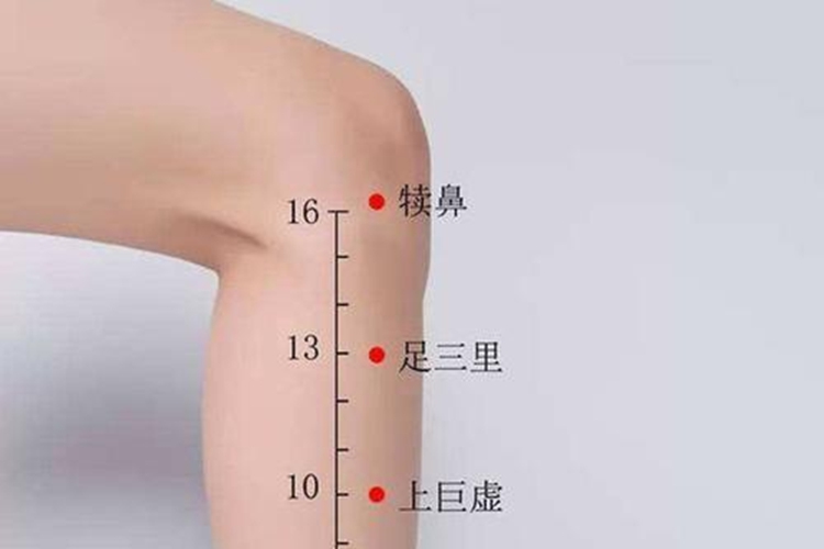 足三里穴位置图
