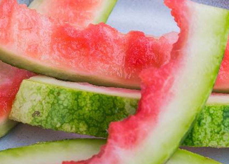 西瓜皮.jpg