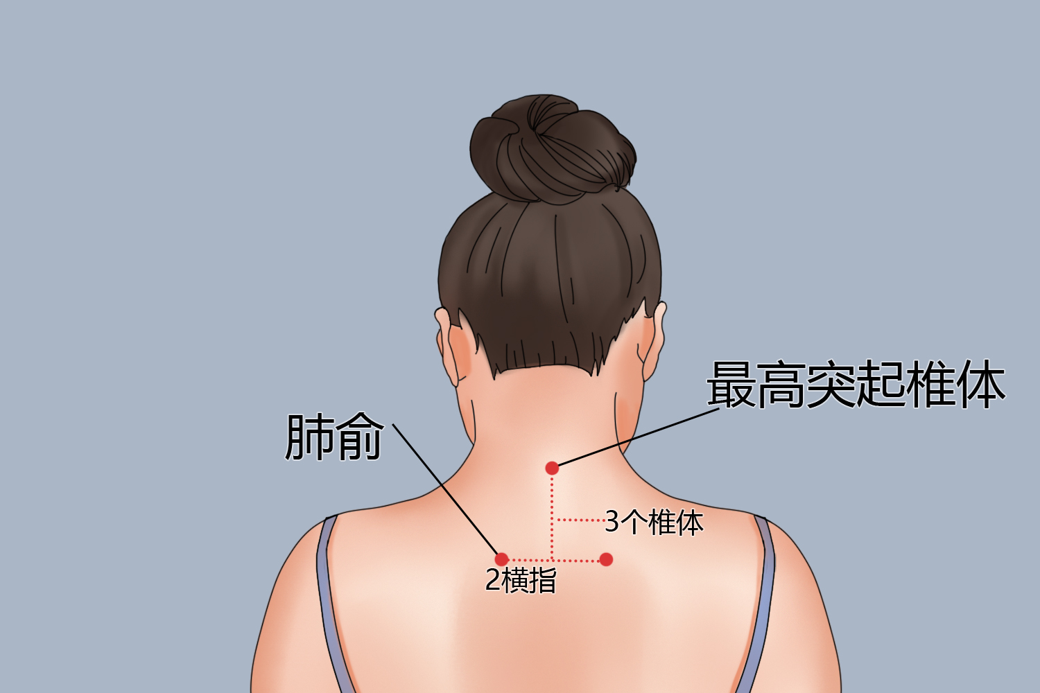 肺俞准确位置图