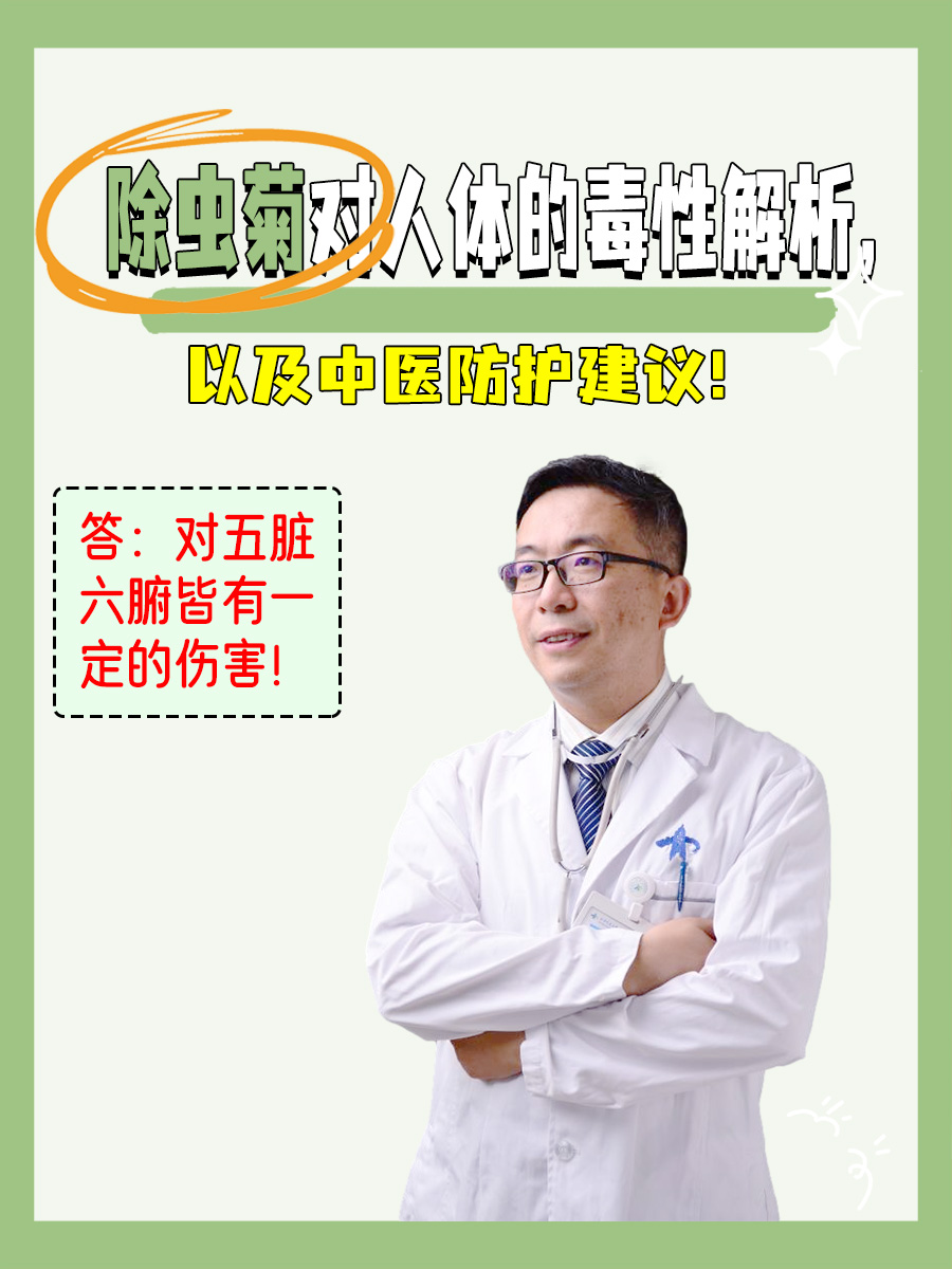 除虫菊对人体的毒性解析，以及中医防护建议！