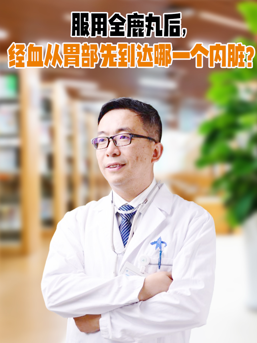 服用全鹿丸后，经血从胃部先到达哪一个内脏？