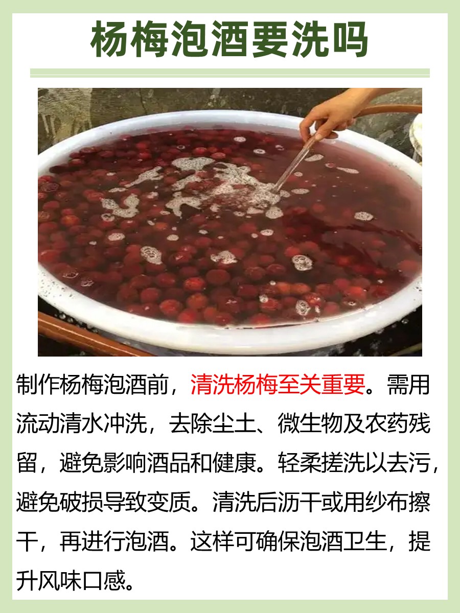 杨梅泡酒：制作前需要清洗吗？