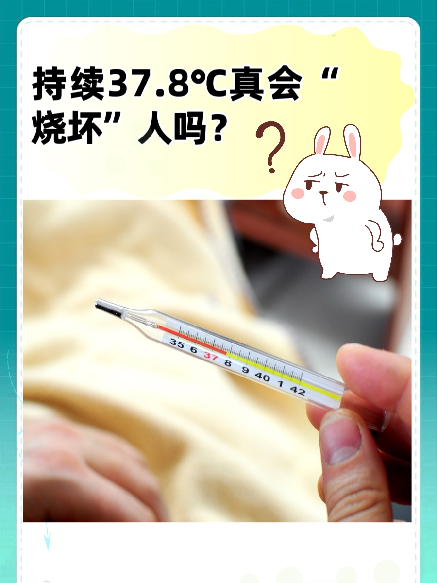 持续37.8℃,真会“烧坏”人吗?
