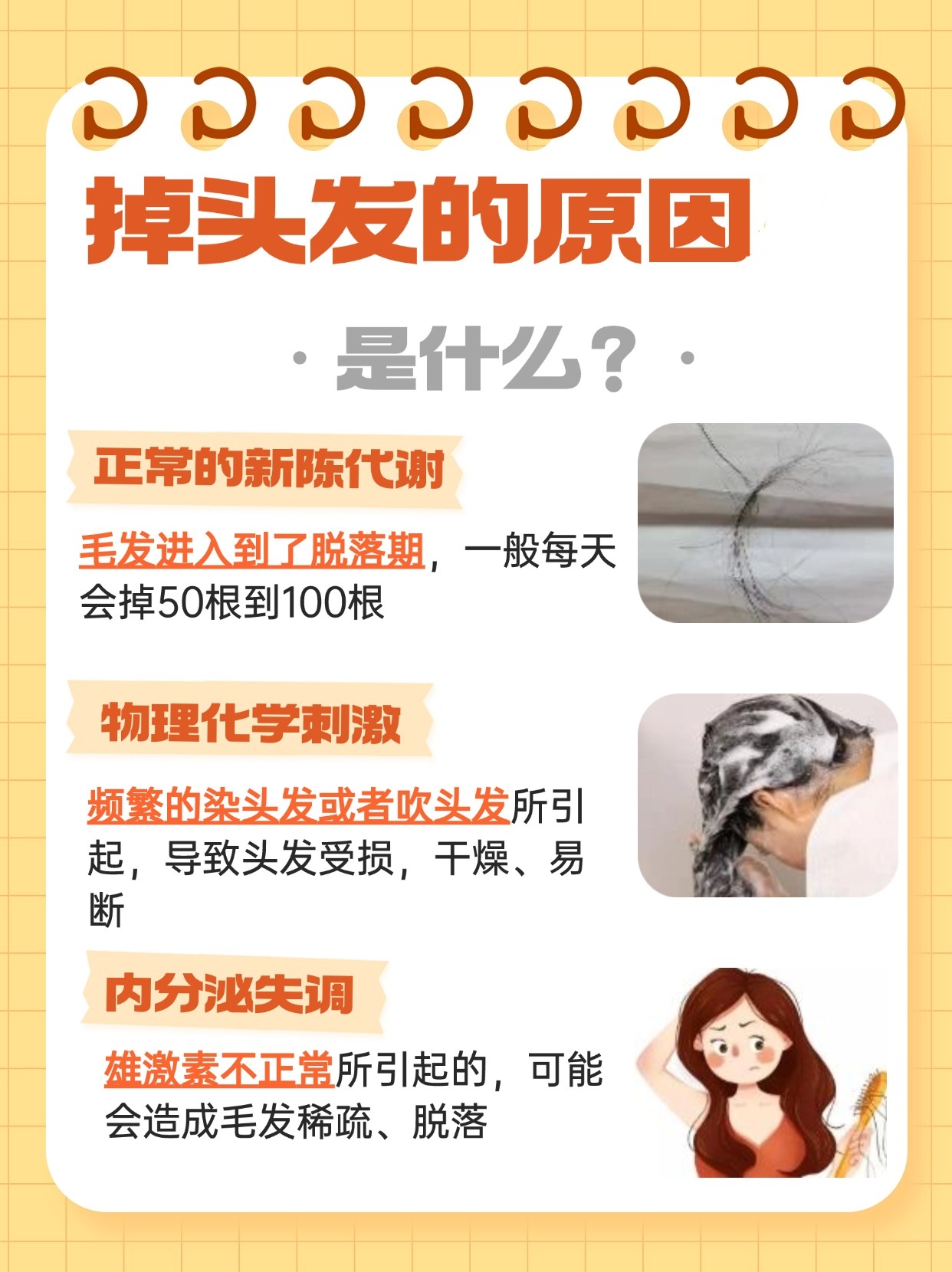 带你揭秘掉头发的背后真相，快来看