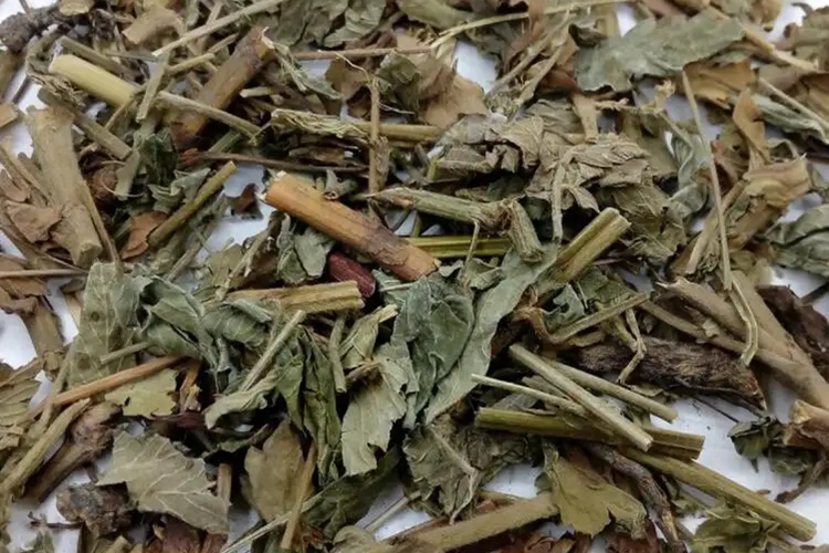 仙鹤草图