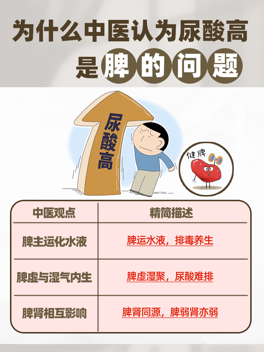 为什么中医认为尿酸高是脾的问题，一文解析