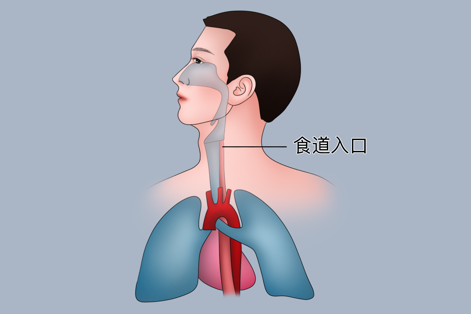 1,有食管癌家族病史的人:食管癌有明显的家族聚集性,如果家族中有人患