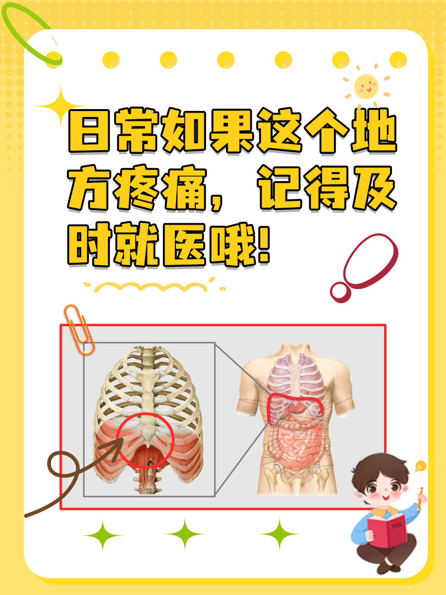 剑突下是什么部位?快来了解一下!-有来医生