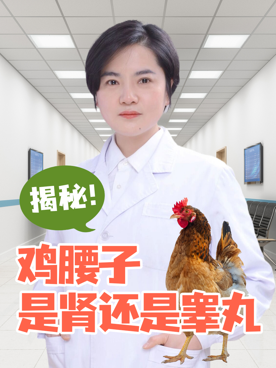 揭秘，鸡腰子是肾还是睾丸