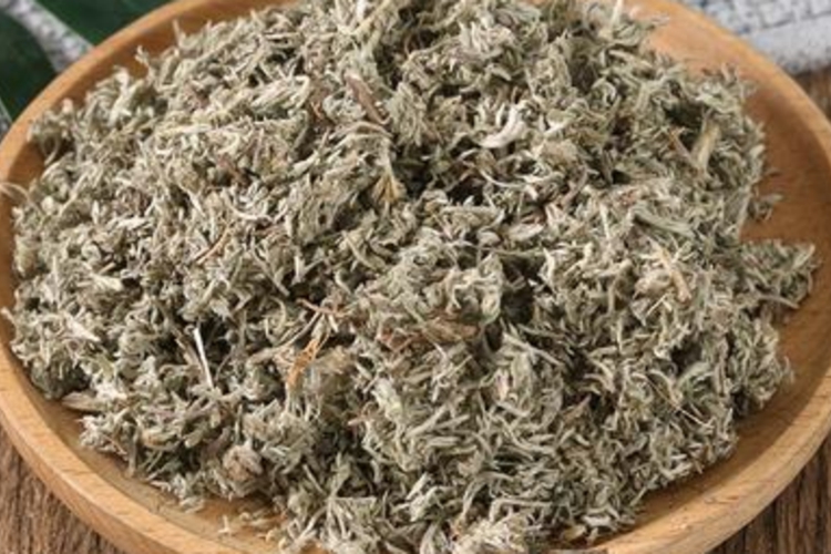 花茵陈干燥后图