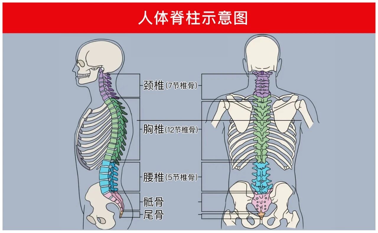 微信图片_2026-06-25_100528_001.jpg