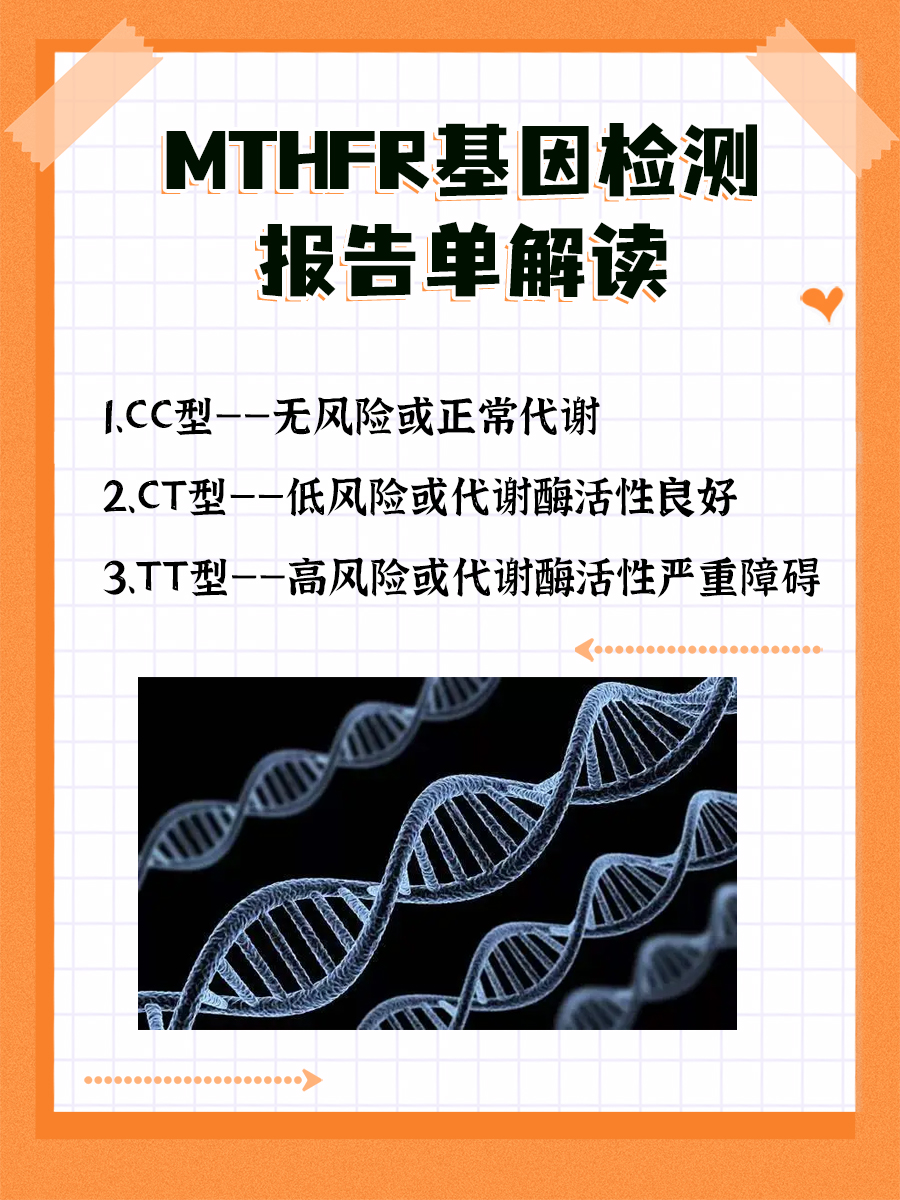 MTHFR基因检测报告单大揭秘，一看就会！