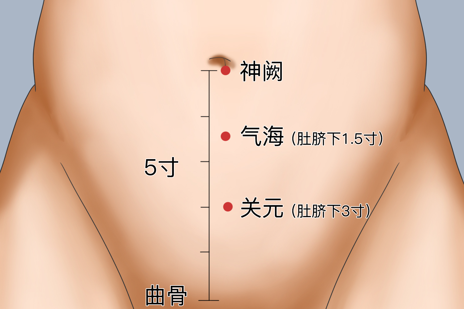 神阙穴和气海穴位置图