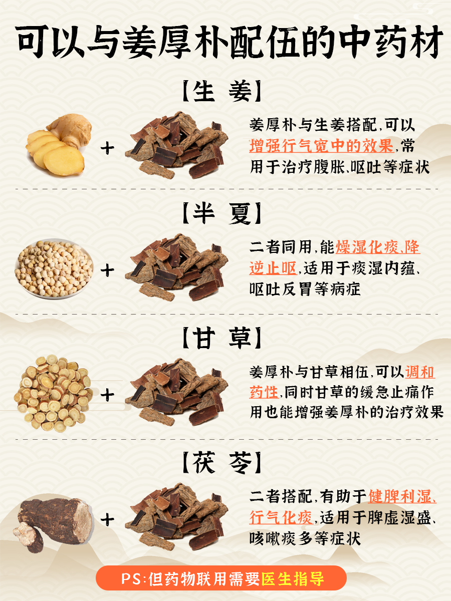 姜厚朴是什么药？一文带你了解！