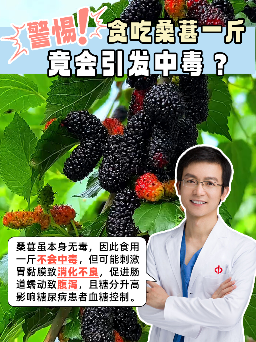 警惕！贪吃桑葚一斤，竟会引发中毒？