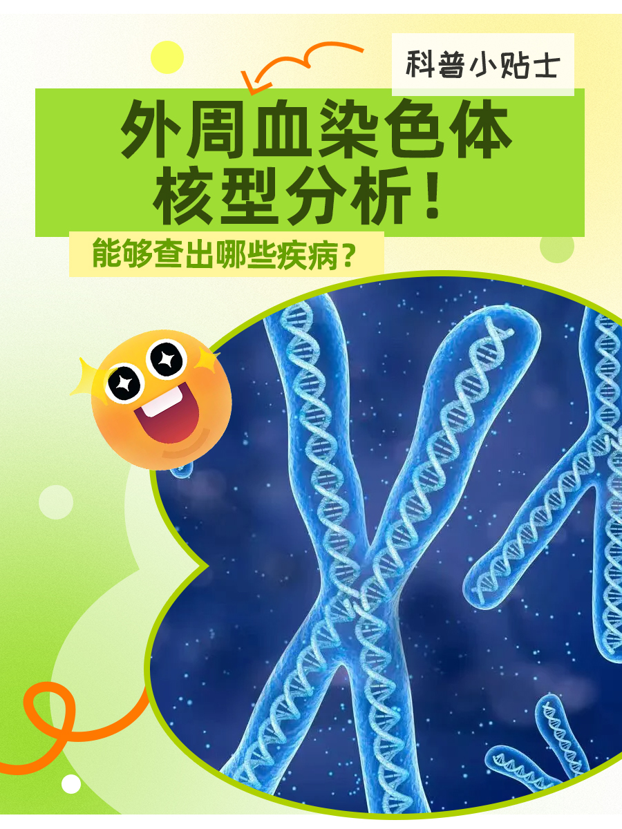 外周血染色体核型分析！能够查出哪些疾病？