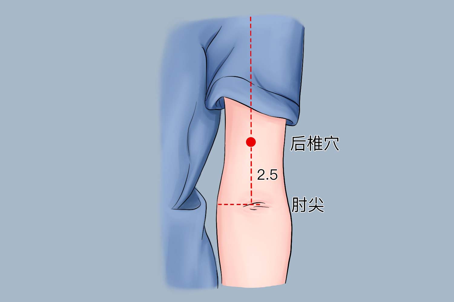 后椎穴位置图 后椎穴位置图