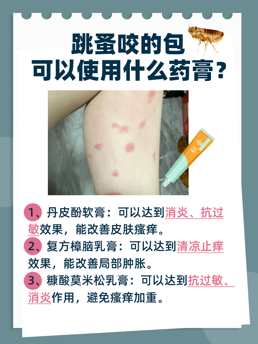 医生指导：跳蚤咬出包，可试试涂抹这些药膏