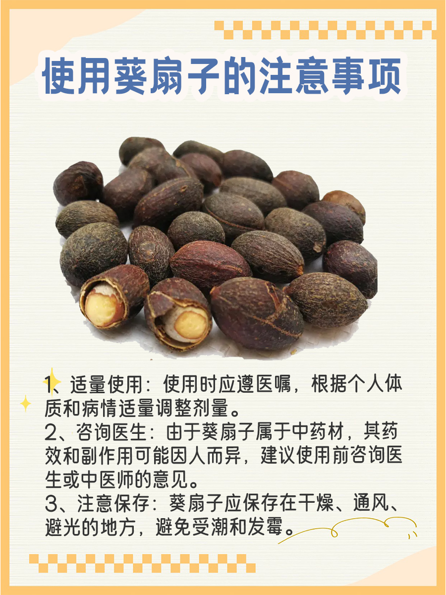 葵扇子：不仅仅是美丽，还有这些作用！