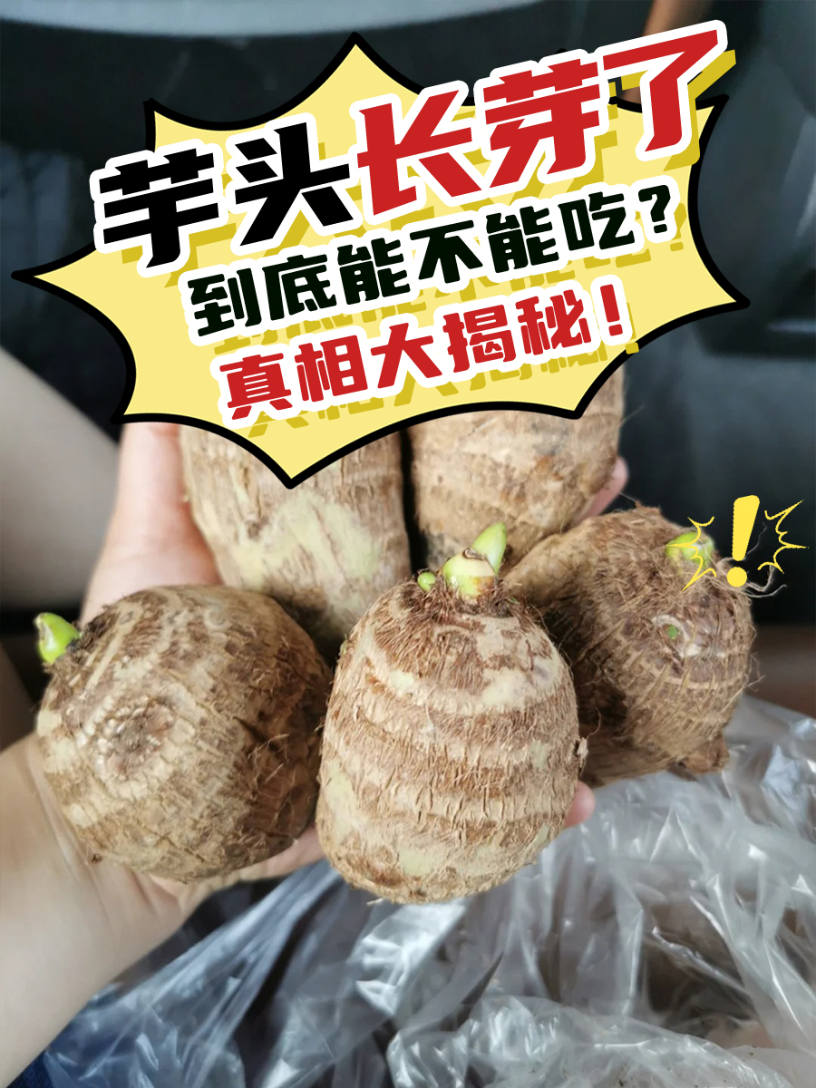 芋头长芽了，到底能不能吃？真相大揭秘！