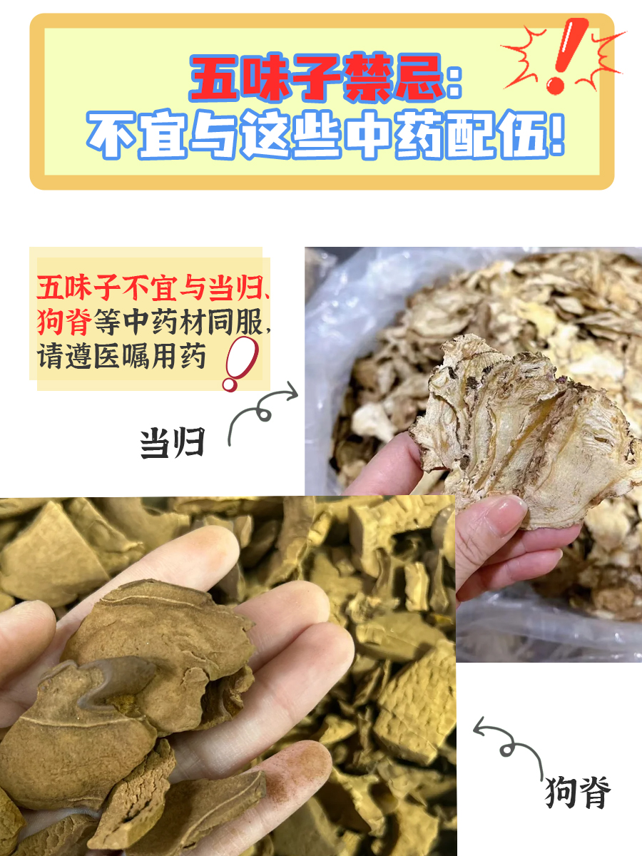 五味子禁忌：不宜与这些中药配伍！