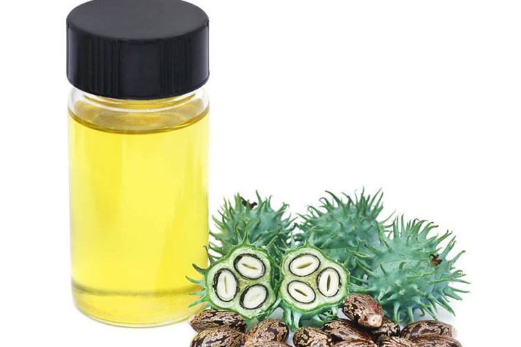 蓖麻油药材图 蓖麻油药材图