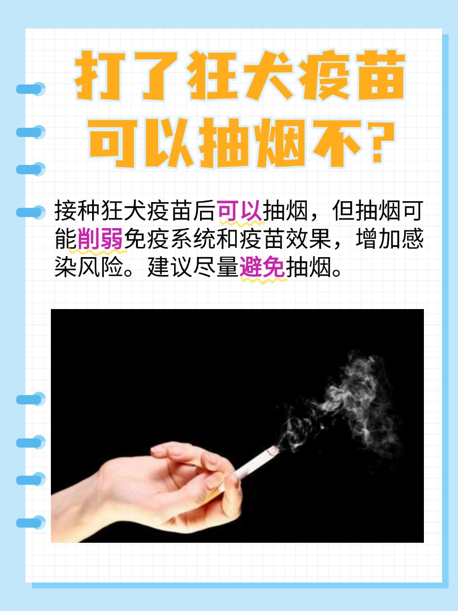 接种狂犬疫苗后是否可以吸烟：安全性指南