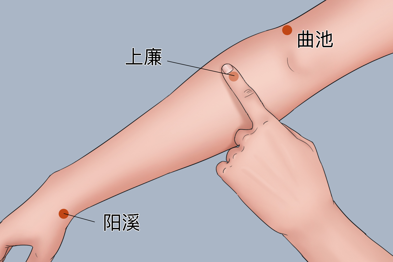 胳膊麻木按摩上廉穴图