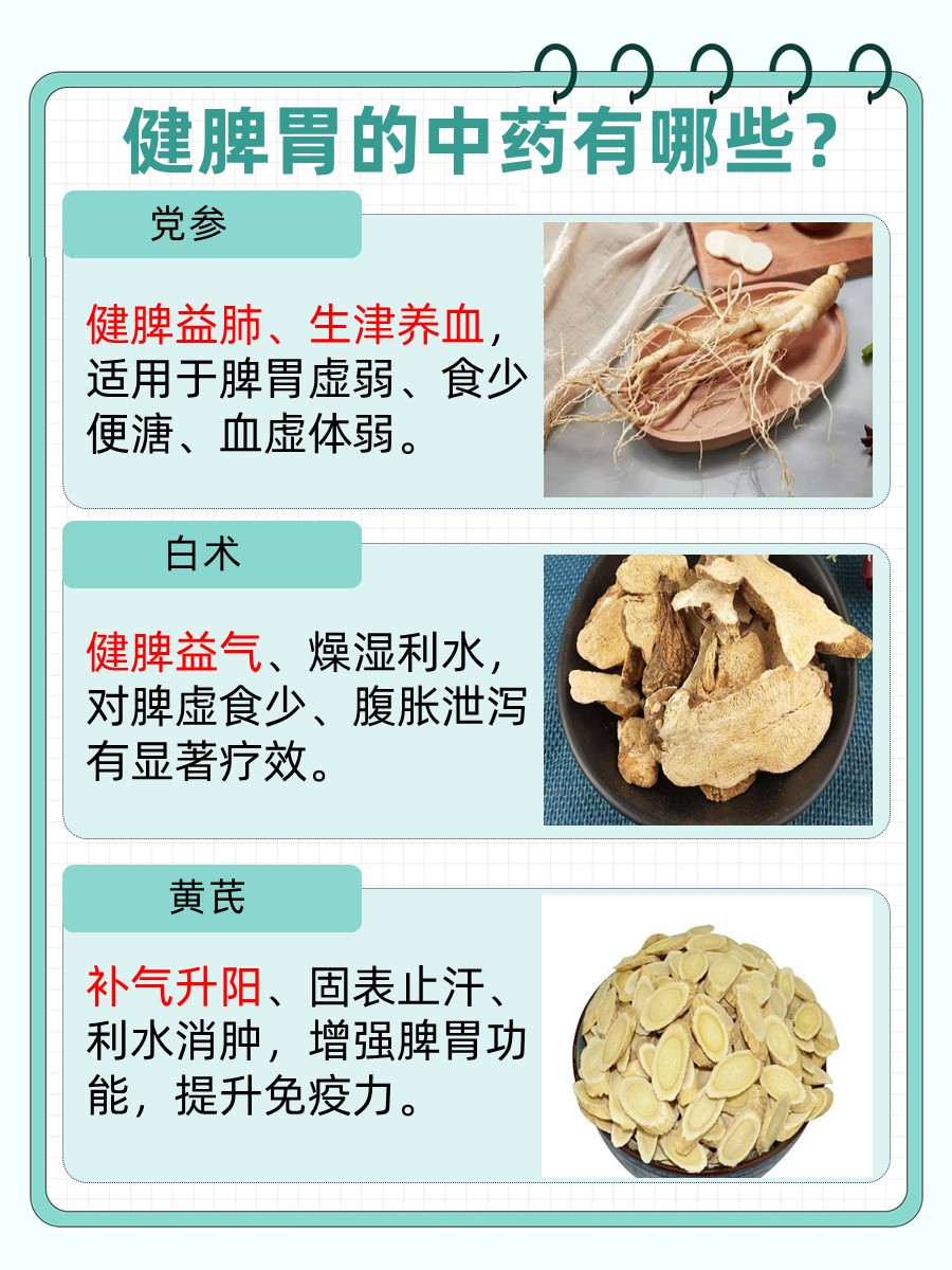 健脾胃最好的一味中药？医生辟谣